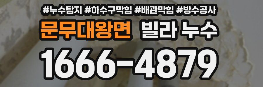 문무대왕면 빌라 누수