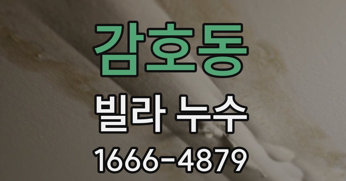 감호동 빌라 누수