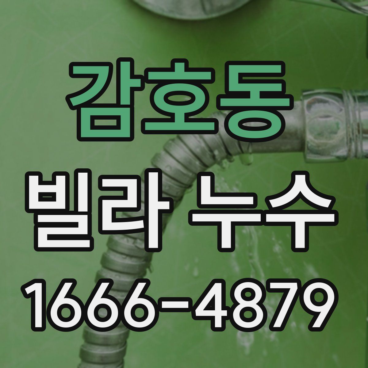 감호동 빌라 누수