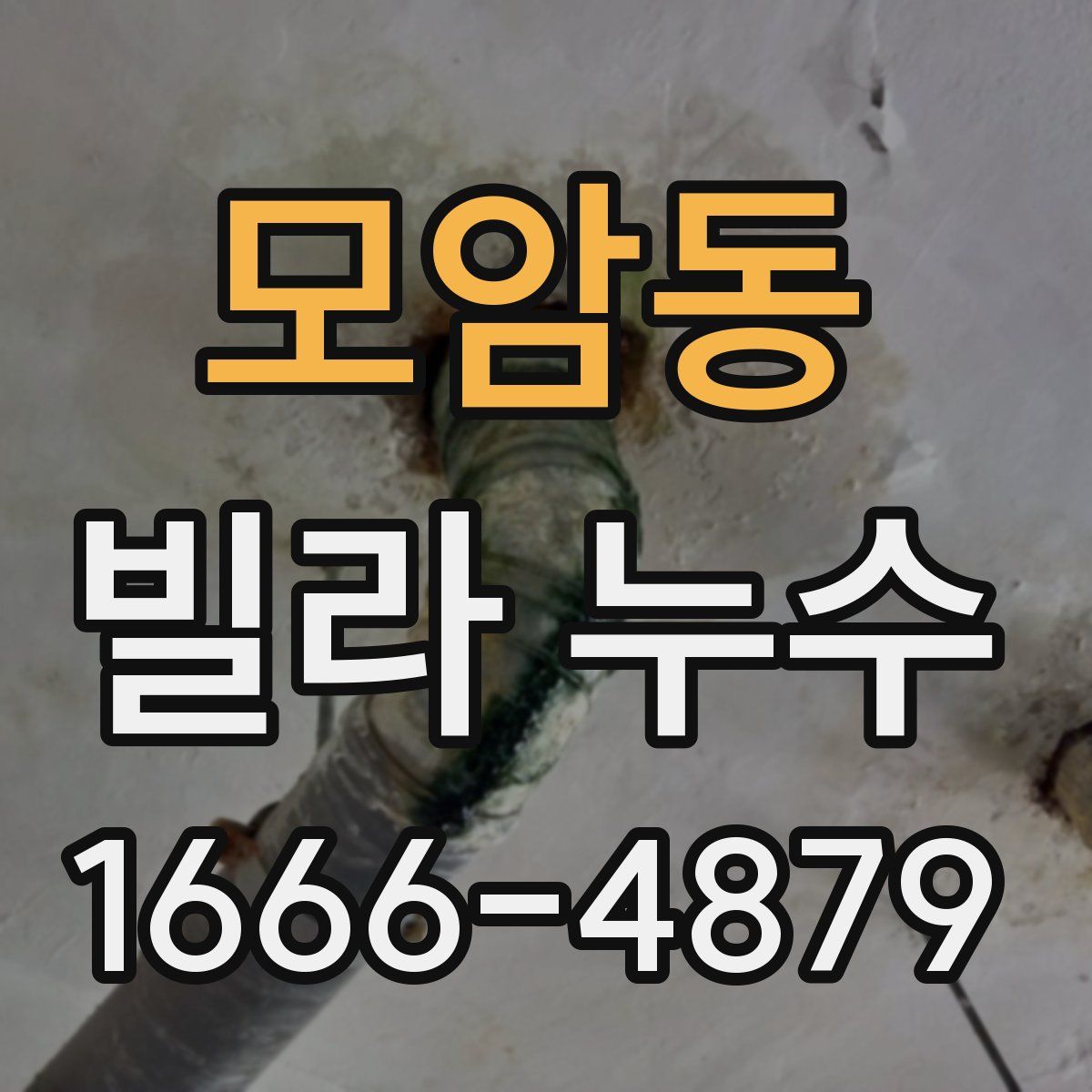 모암동 빌라 누수
