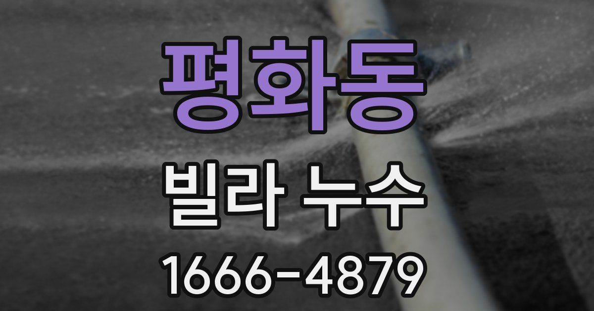 평화동 빌라 누수