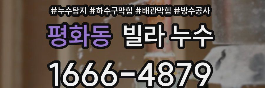 평화동 빌라 누수