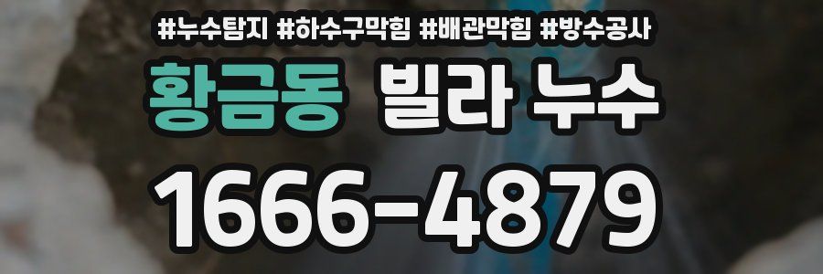 황금동 빌라 누수