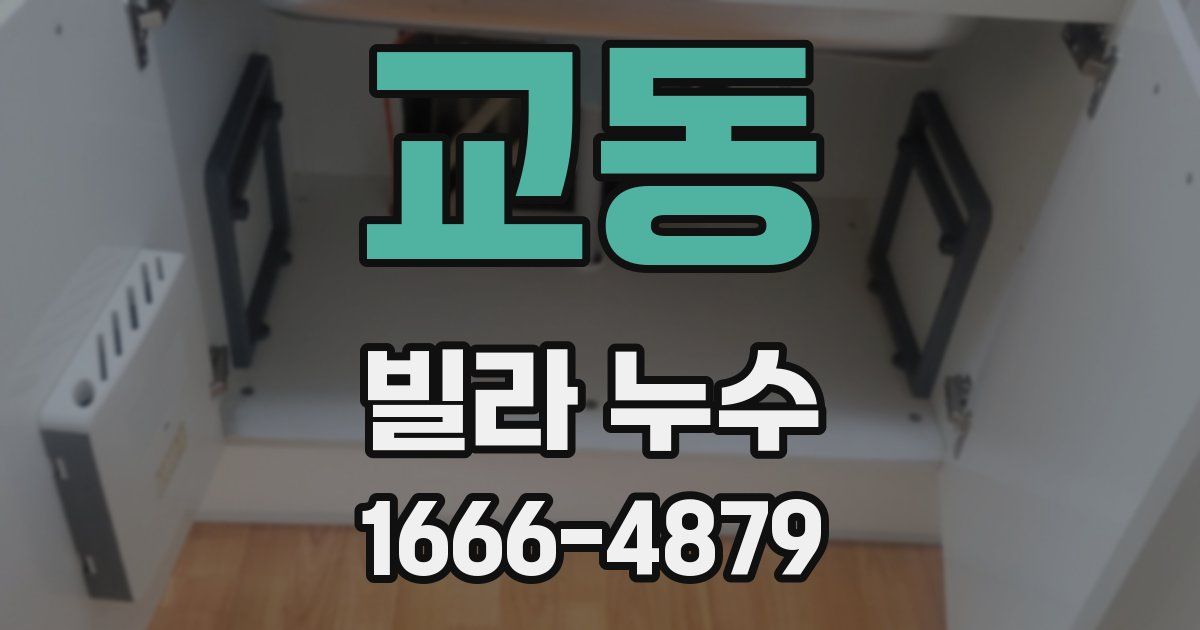 교동 빌라 누수