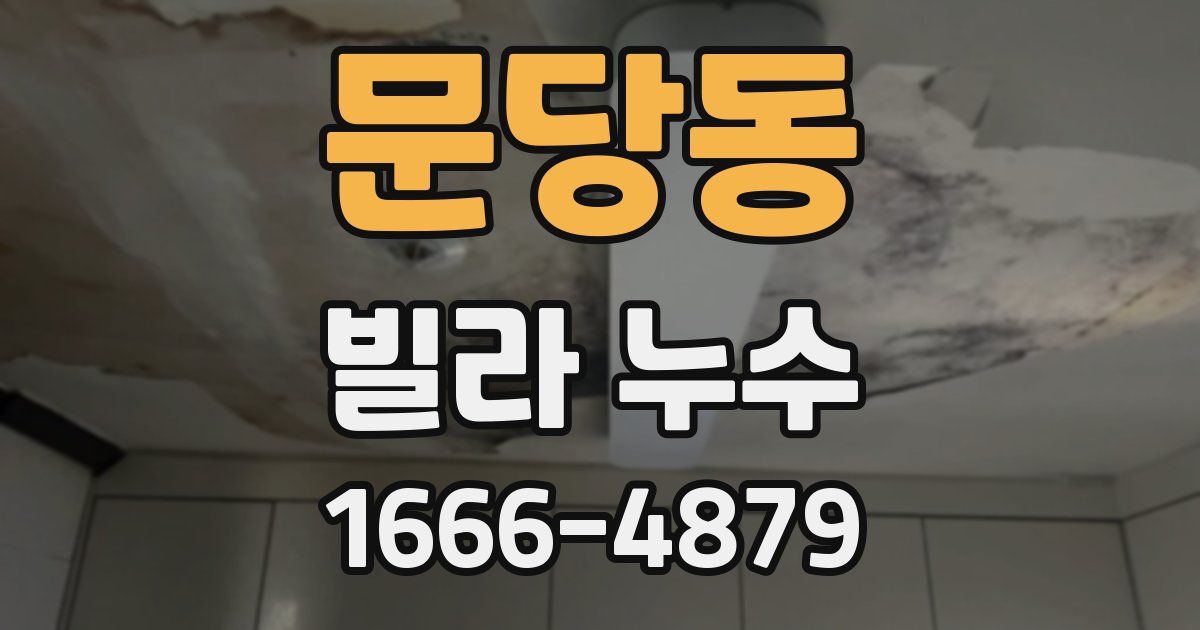 문당동 빌라 누수