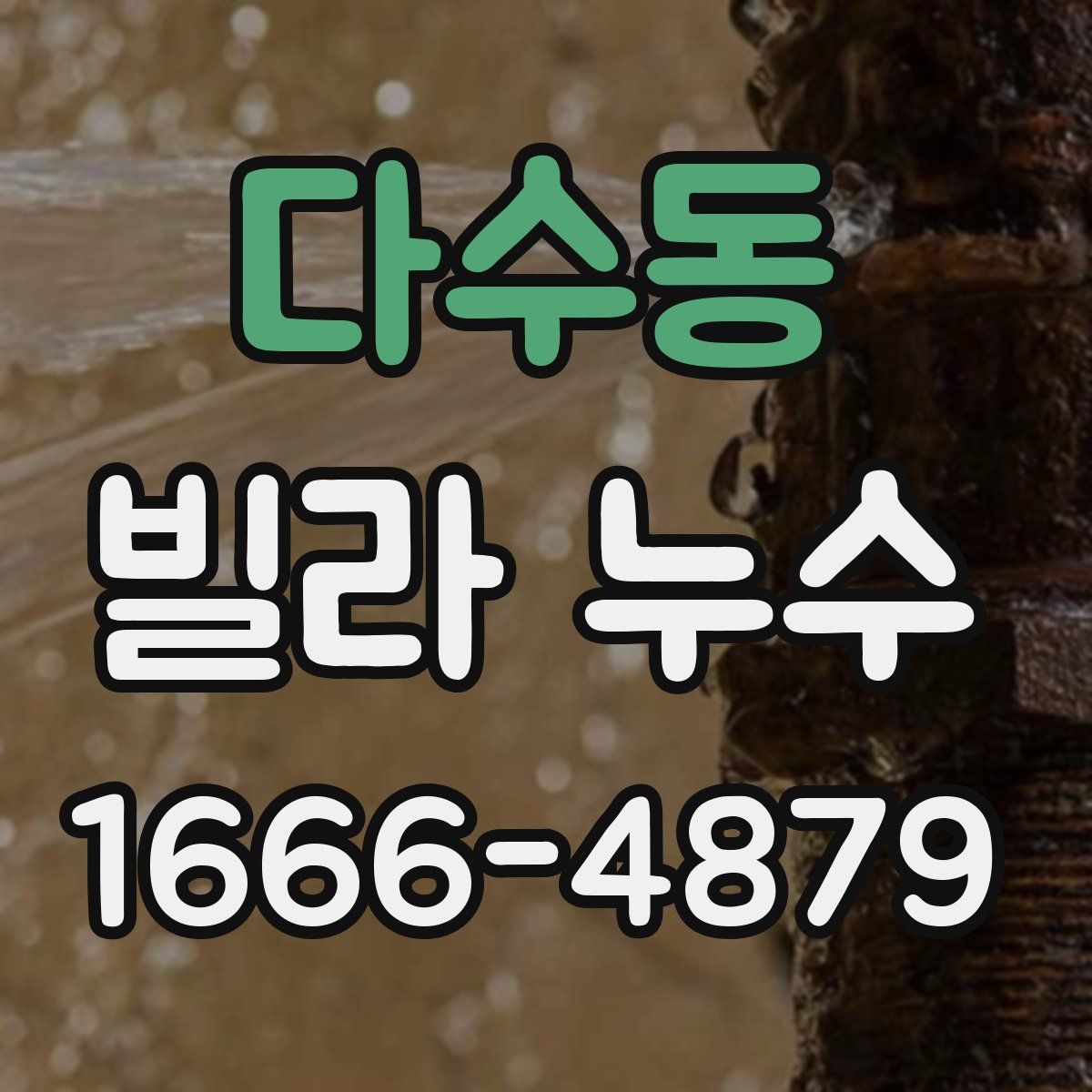 다수동 빌라 누수