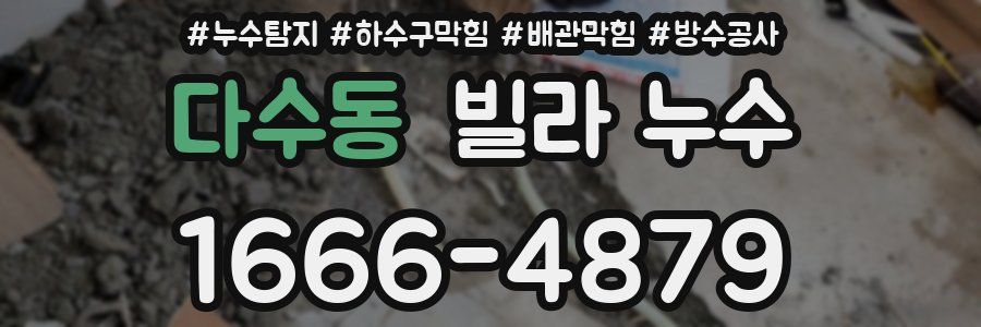 다수동 빌라 누수