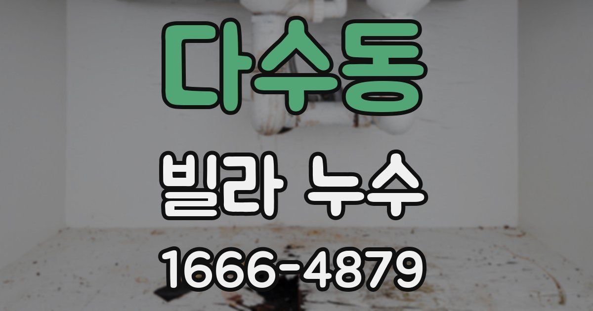 다수동 빌라 누수