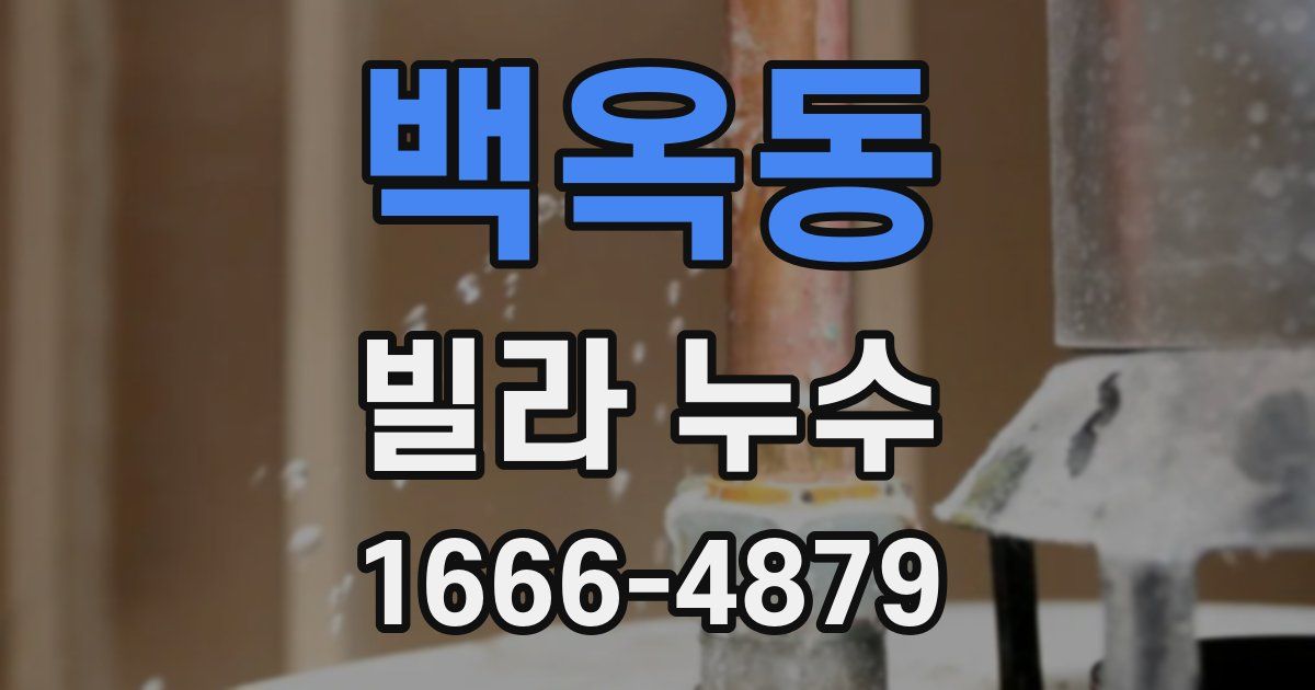 백옥동 빌라 누수