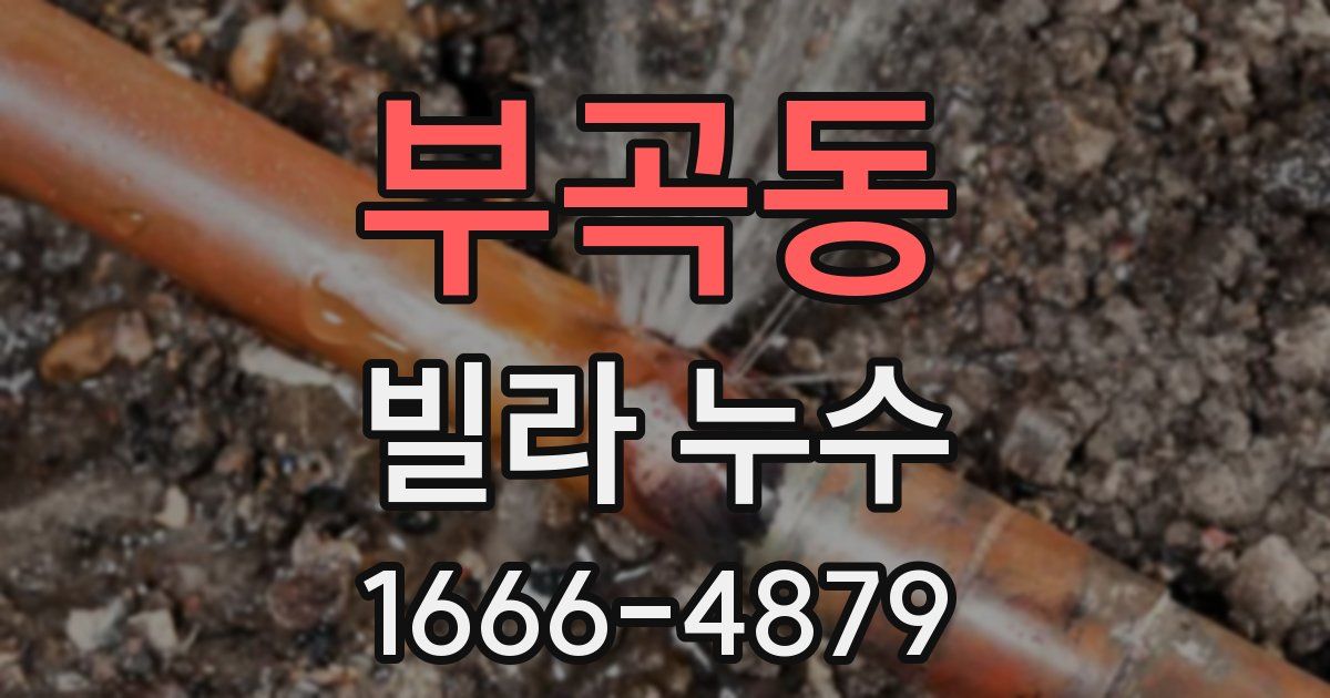 부곡동 빌라 누수