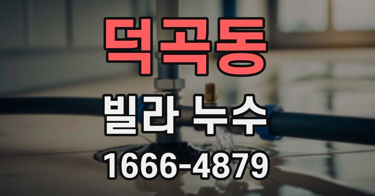 덕곡동 빌라 누수