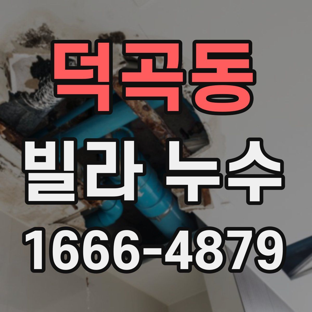 덕곡동 빌라 누수
