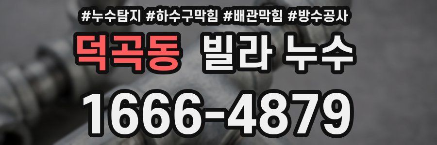 덕곡동 빌라 누수