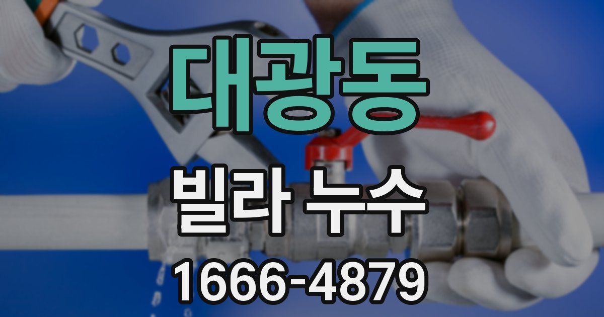 대광동 빌라 누수
