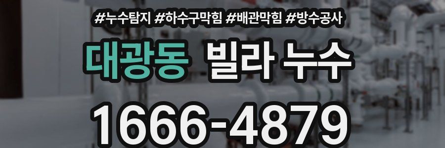 대광동 빌라 누수