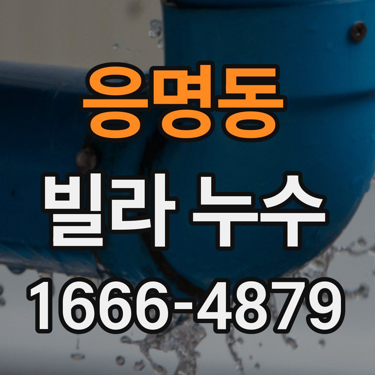 응명동 빌라 누수