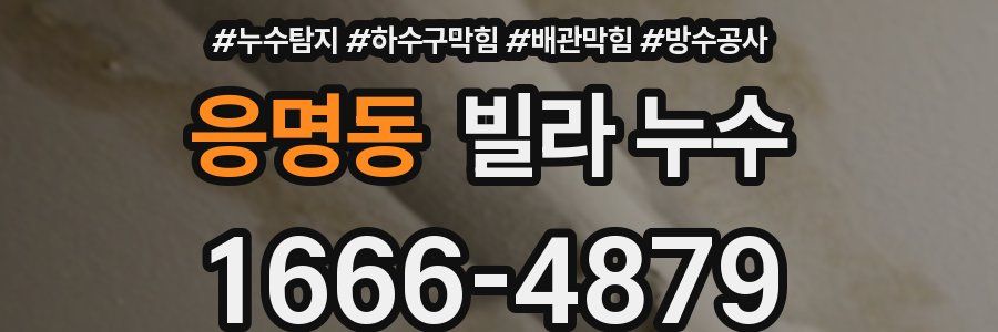 응명동 빌라 누수