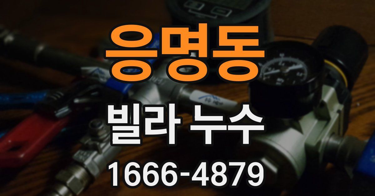 응명동 빌라 누수