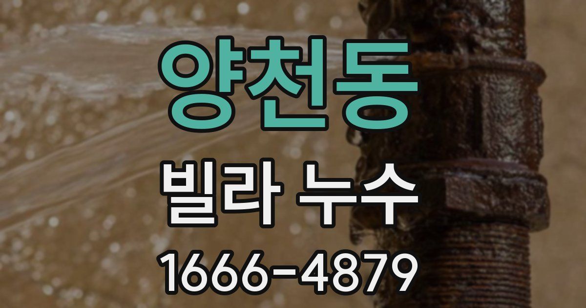양천동 빌라 누수