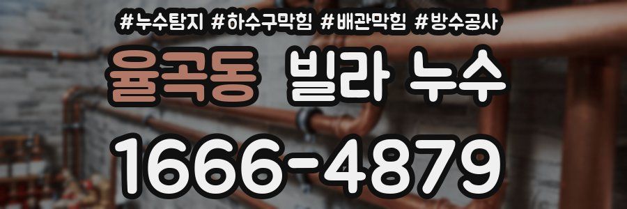 율곡동 빌라 누수