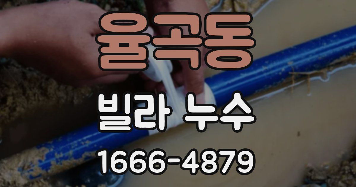 율곡동 빌라 누수