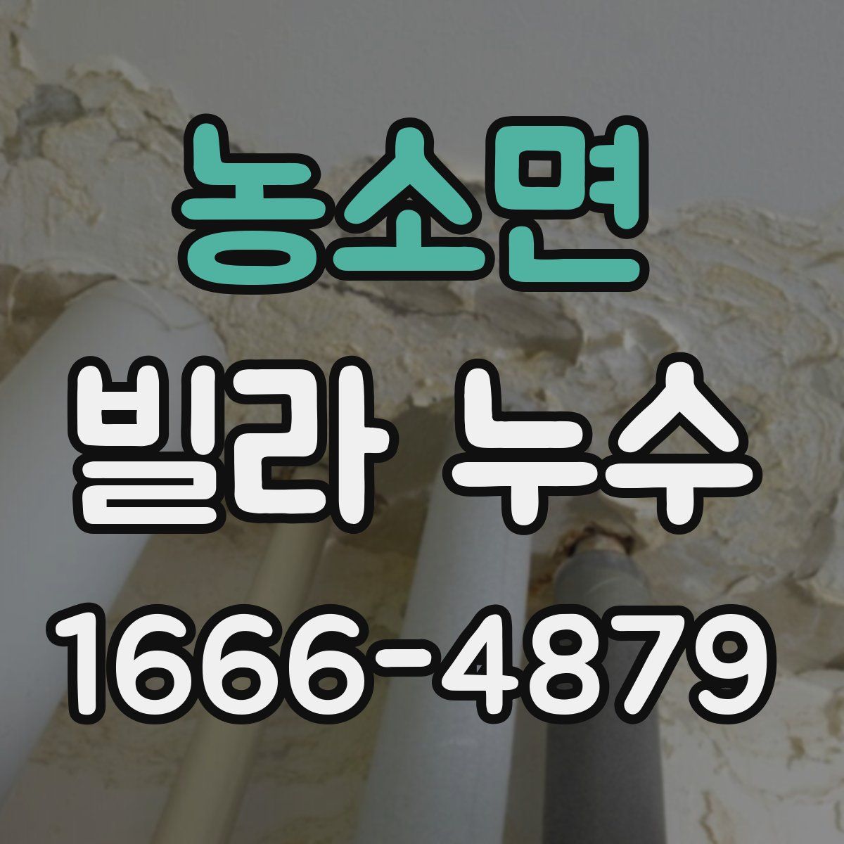 농소면 빌라 누수