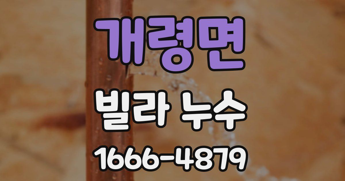 개령면 빌라 누수
