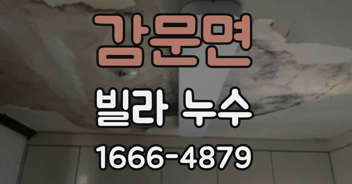 감문면 빌라 누수