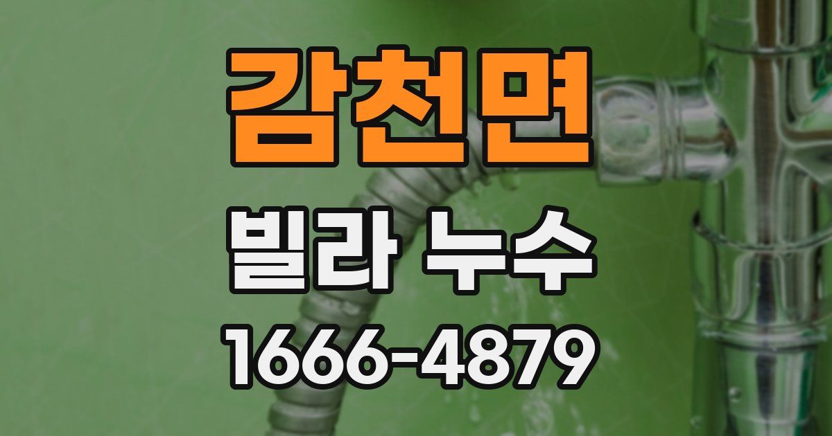 감천면 빌라 누수