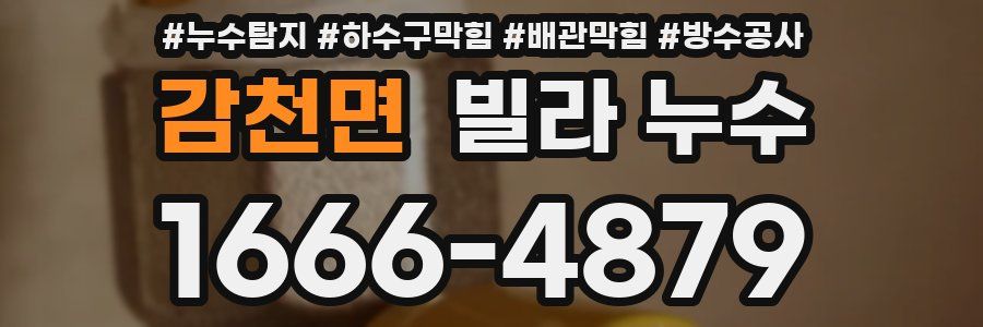 감천면 빌라 누수
