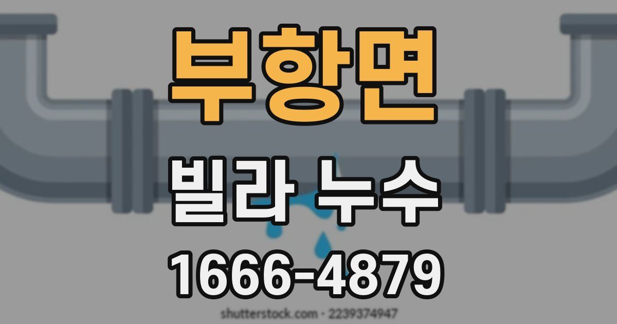 부항면 빌라 누수