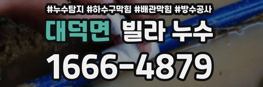 대덕면 빌라 누수