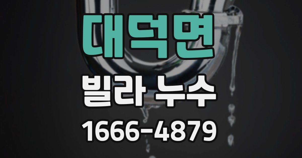 대덕면 빌라 누수
