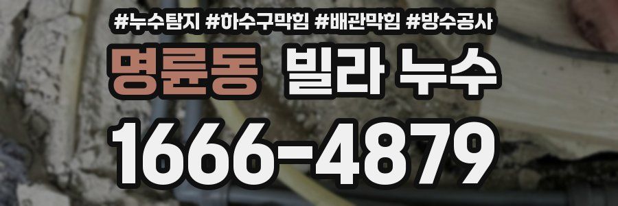 명륜동 빌라 누수