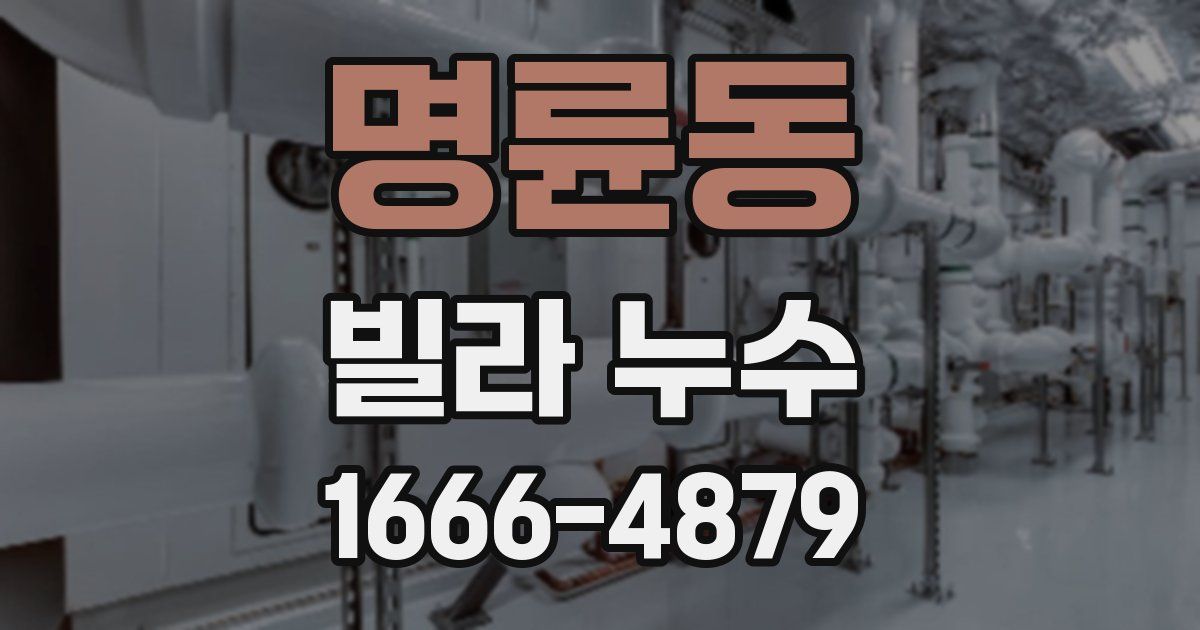 명륜동 빌라 누수