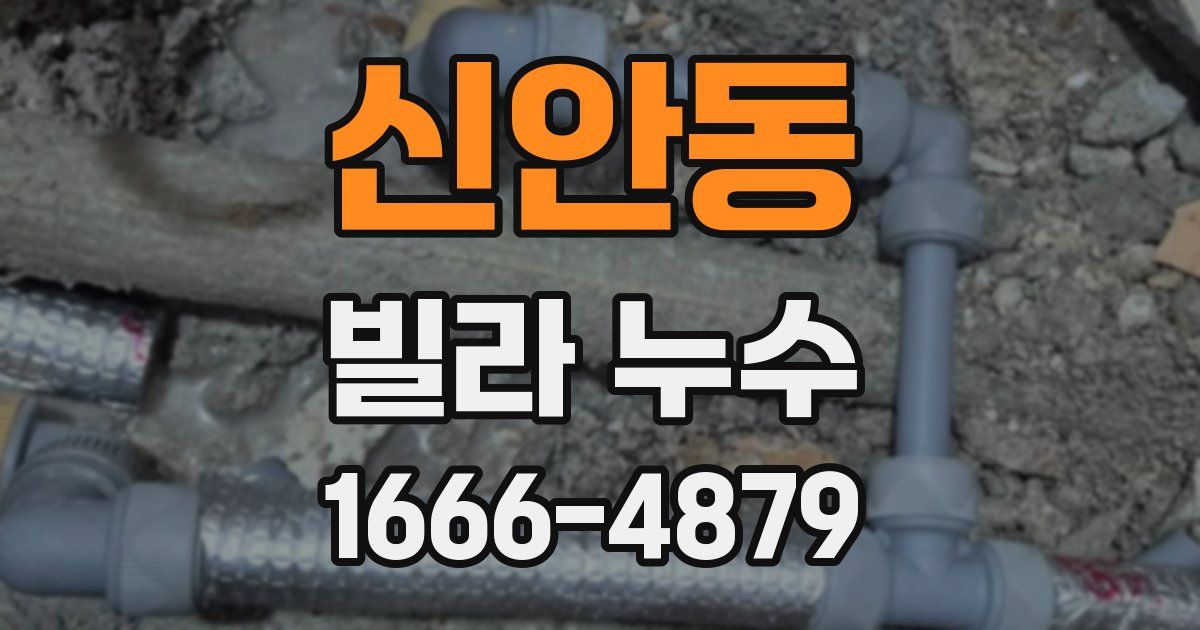 신안동 빌라 누수