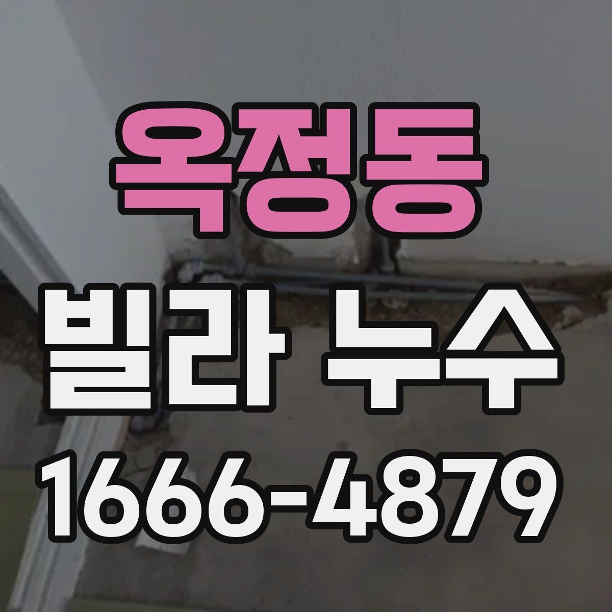 옥정동 빌라 누수 빠른 대응이 필요한 징후들
