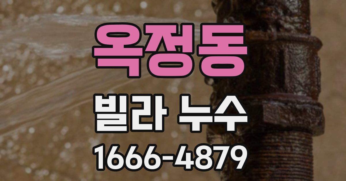 옥정동 빌라 누수