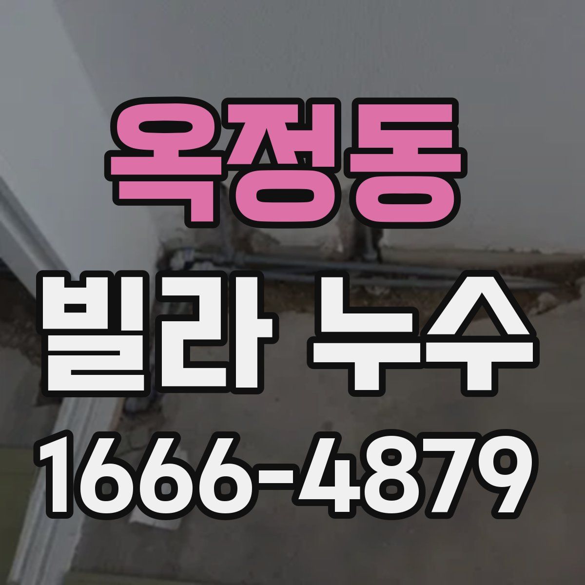 옥정동 빌라 누수