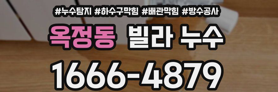 옥정동 빌라 누수