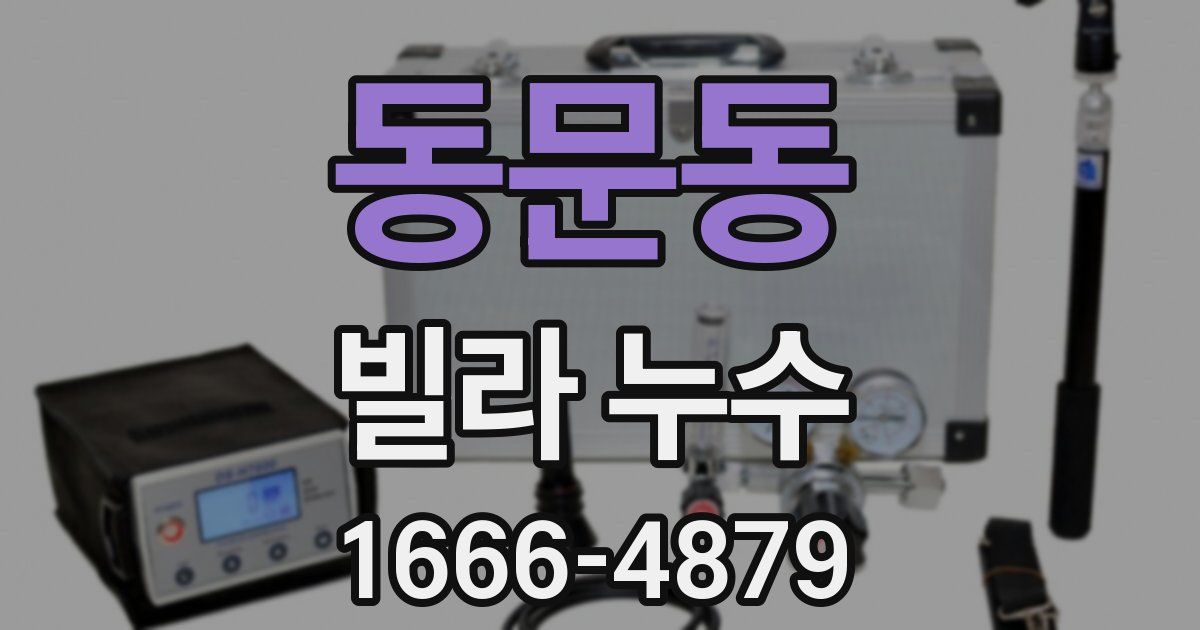 동문동 빌라 누수