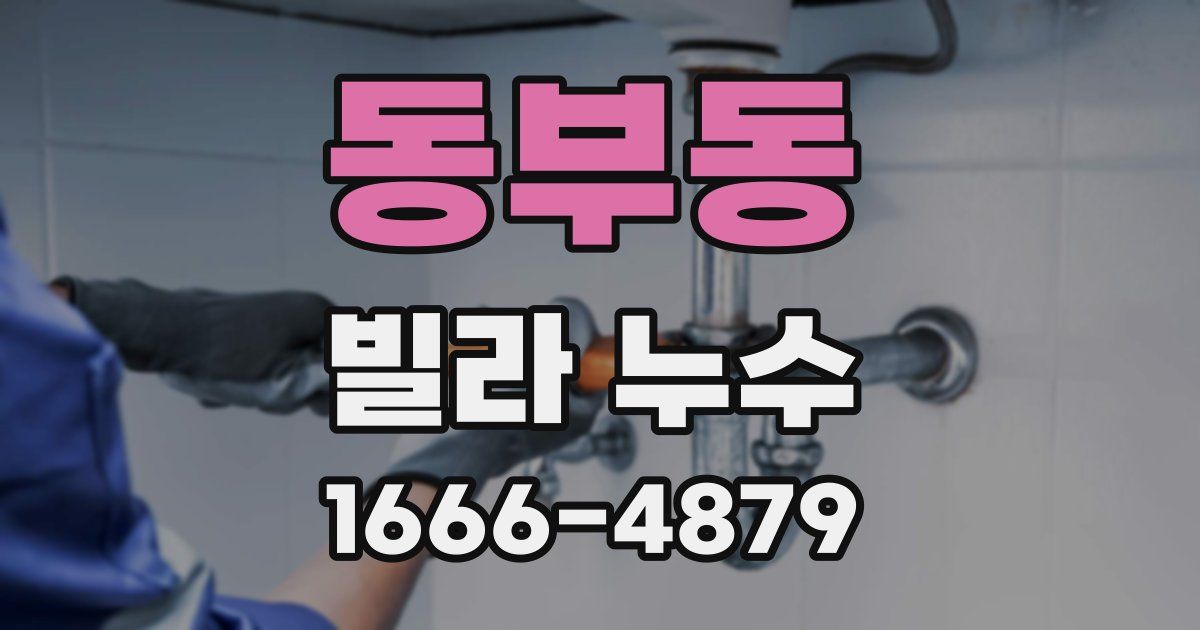 동부동 빌라 누수