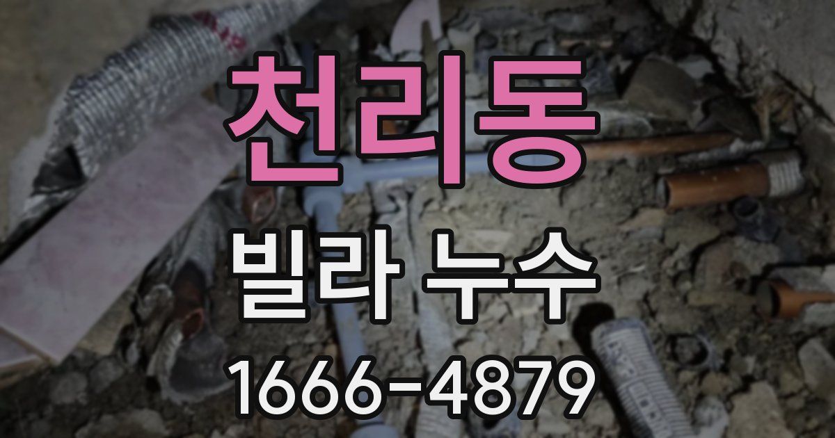 천리동 빌라 누수