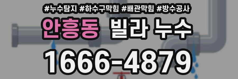 안흥동 빌라 누수