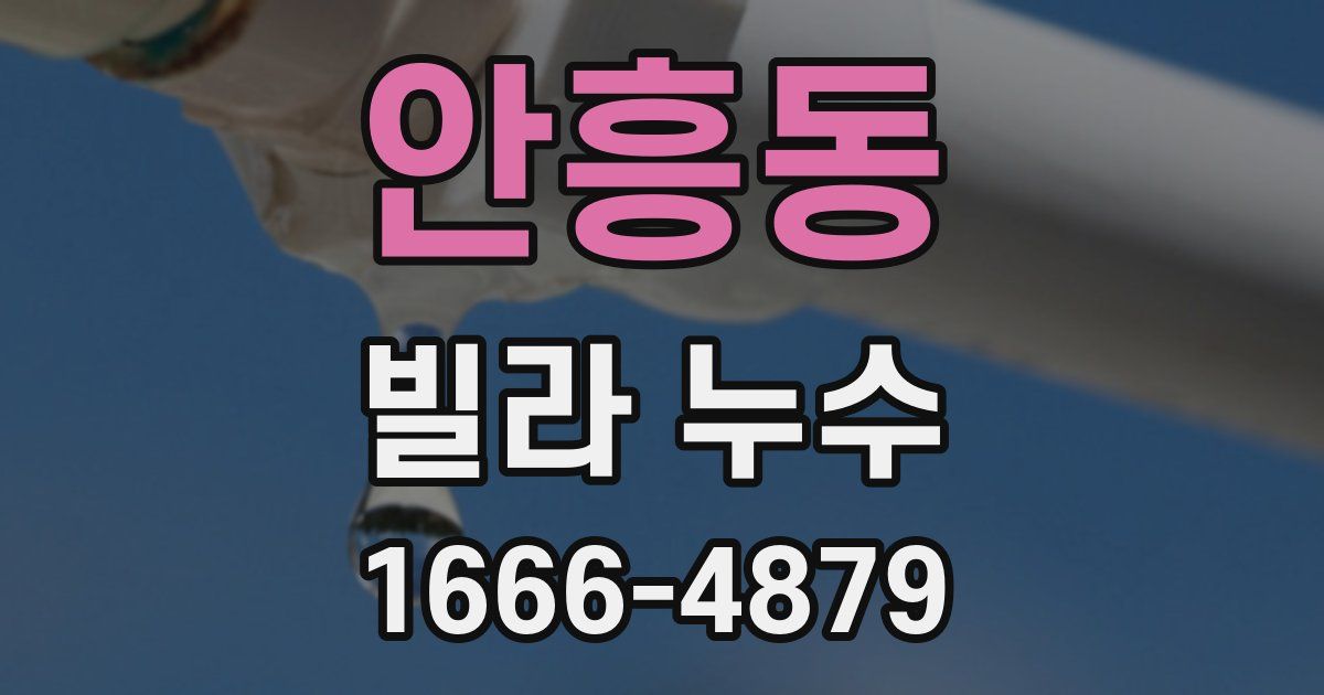 안흥동 빌라 누수