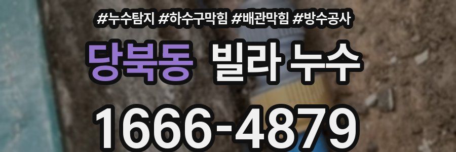 당북동 빌라 누수