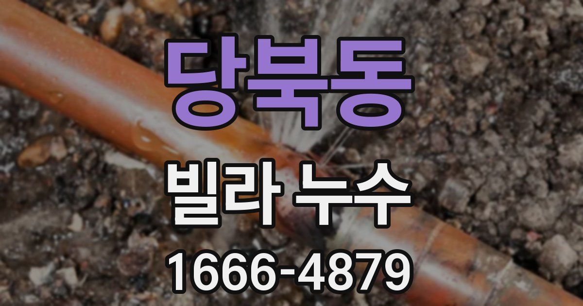 당북동 빌라 누수