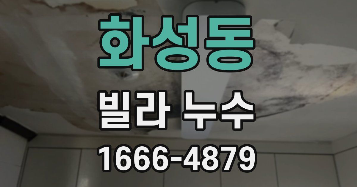 화성동 빌라 누수