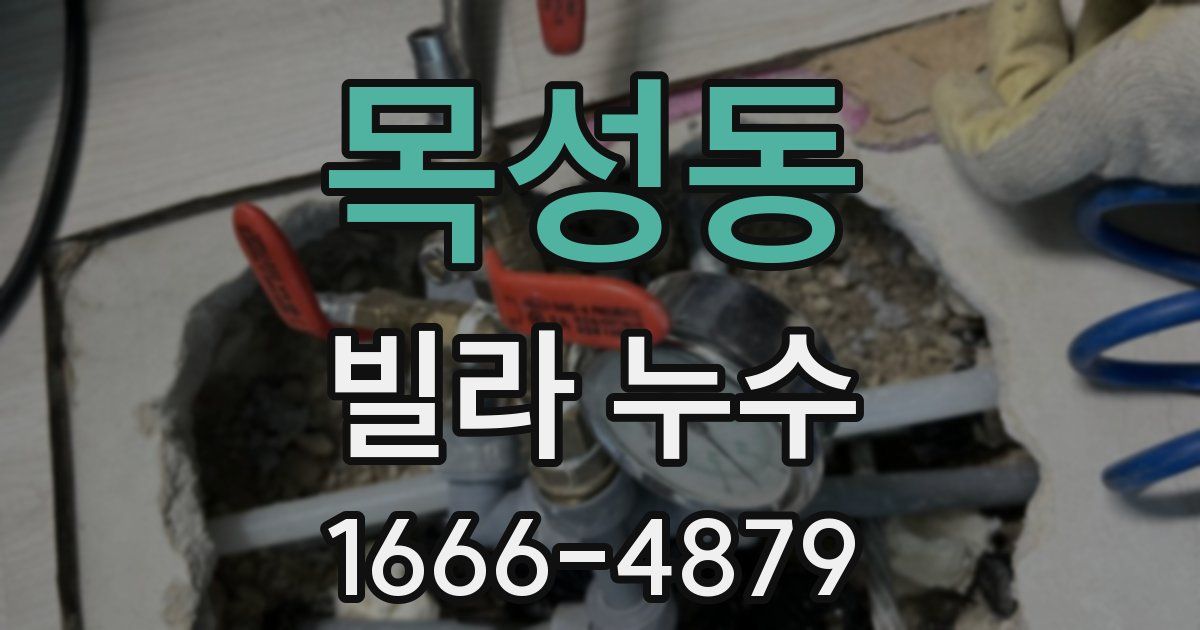 목성동 빌라 누수
