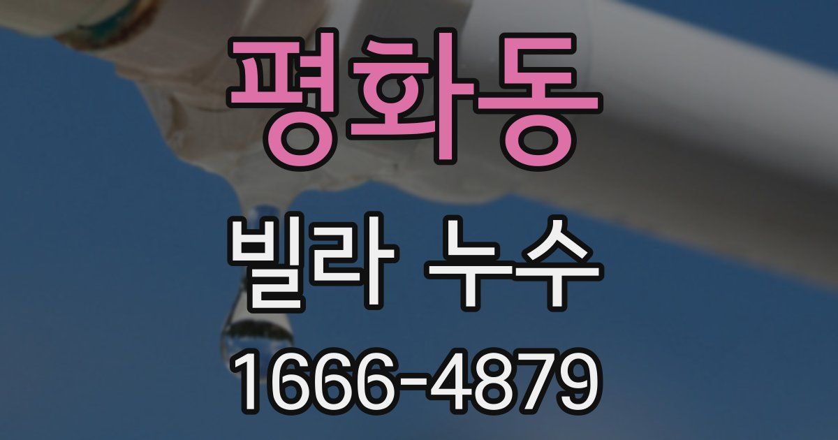 평화동 빌라 누수